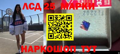 крисы Пенза