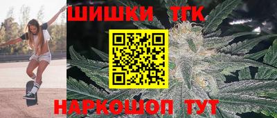 крисы Пенза