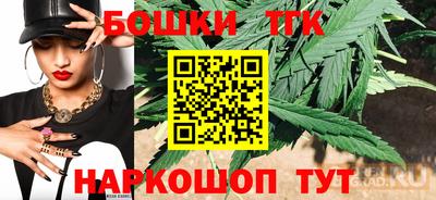 крисы Пенза