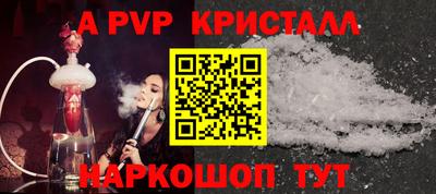 крисы Пенза