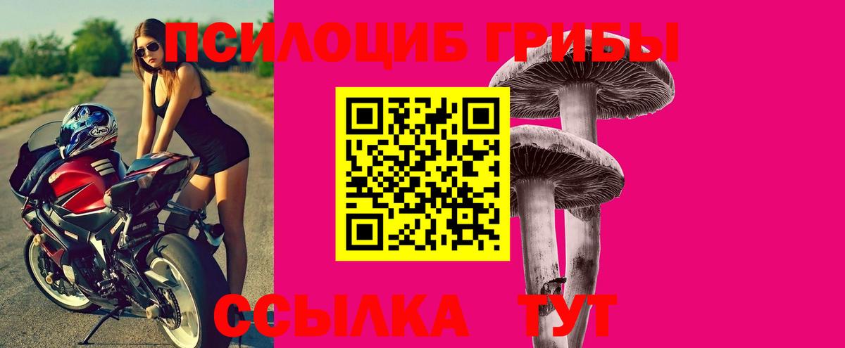 Псилоцибиновые грибы Cubensis  как найти наркотики  Галлюциногенные грибы мухоморы  Саров  Вход с VPN 